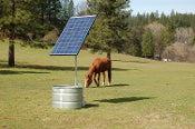 Sunflower Smart Solar Water Pump Kit - 14381383462671174949922